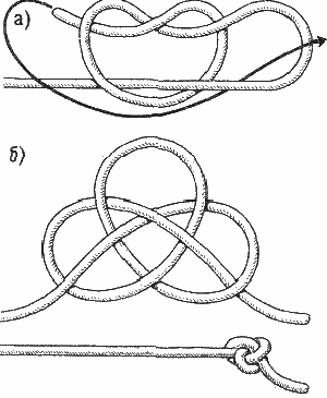 Устричный узел Устричный узел