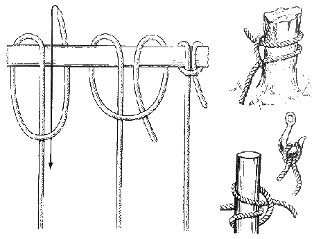 Коровий узел Коровий узел