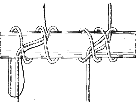 Двойной констриктор Двойной констриктор